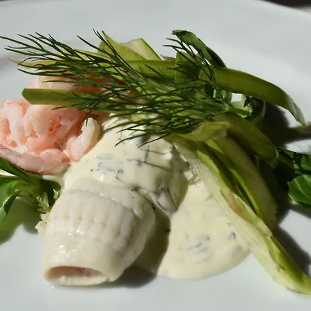 Szálloda Aalbaek Badehotel 3*