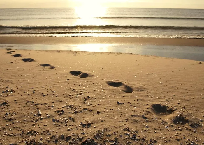 Hotel Aalbaek Badehotel 3*